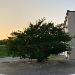 Meet your Posher, Cara